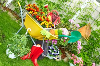 Tips voor een onderhoudsvriendelijke tuin