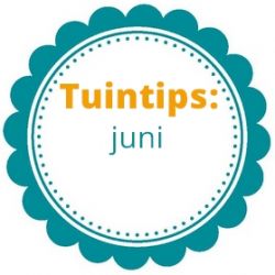 Tuintips voor de maand juni